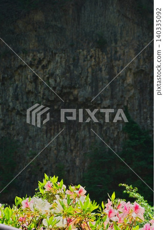 Azaleas blooming in the Ganryu Gorge, covered in fresh green leaves. Azaleas blooming in the Ganryu Gorge, covered in fresh green leaves. 140335092