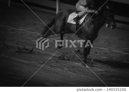 Running horses Running horses 140335208