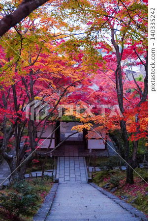 京都嵯峨野縣一座寺廟裡的楓樹秋葉。 京都嵯峨野縣一座寺廟裡的楓樹秋葉。 140335242
