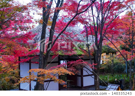 京都嵯峨野縣一座寺廟裡的楓樹秋葉。 京都嵯峨野縣一座寺廟裡的楓樹秋葉。 140335243