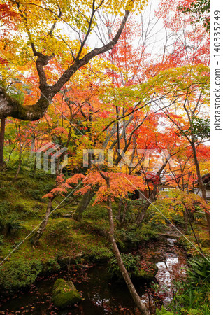 Autumn leaves of maple trees at a temple in Sagano, Kyoto. Autumn leaves of maple trees at a temple in Sagano, Kyoto. 140335249