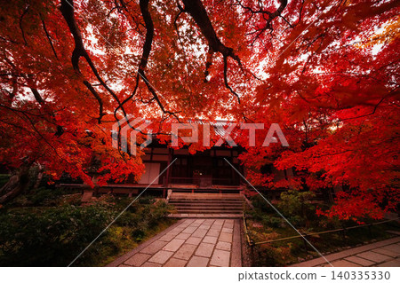 京都嵯峨野縣一座寺廟裡的楓樹秋葉。 京都嵯峨野縣一座寺廟裡的楓樹秋葉。 140335330