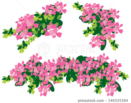 Pink Bougainvillea Flower Clusters Vector Illustration on White Background Pink Bougainvillea Flower Clusters Vector Illustration on White Background 140335384