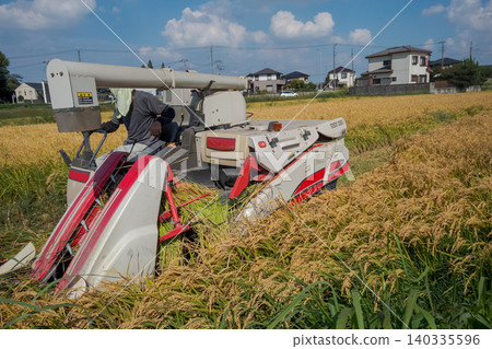 聯合收割機 結合 水稻豐收 140335596