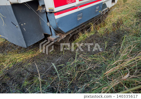 rice harvesting, combine, combine harvester 140335617