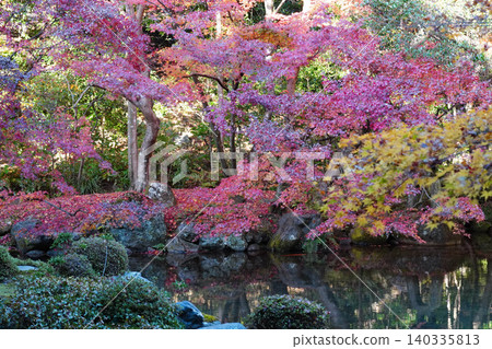 京都北部上高野寺院的秋葉庭園。 京都北部上高野寺院的秋葉庭園。 140335813