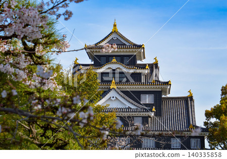 岡山城在櫻花叢中依然清晰可見 岡山城在櫻花叢中依然清晰可見 140335858