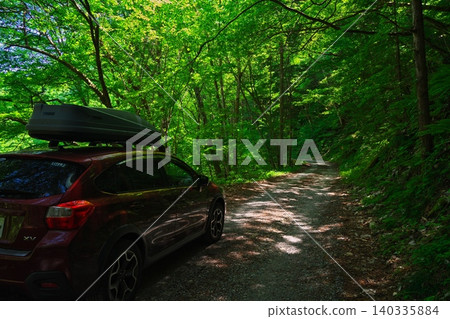 The forest road to Neo Falls in the Ganryu Gorge, covered in fresh greenery. The forest road to Neo Falls in the Ganryu Gorge, covered in fresh greenery. 140335884