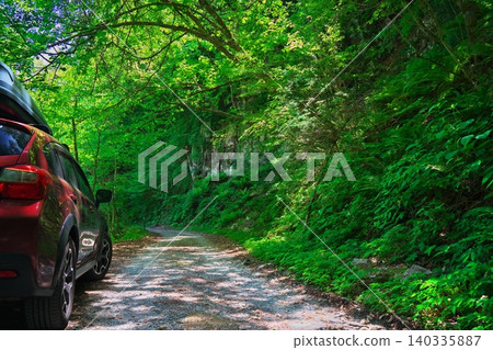The forest road to Neo Falls in the Ganryu Gorge, covered in fresh greenery. The forest road to Neo Falls in the Ganryu Gorge, covered in fresh greenery. 140335887