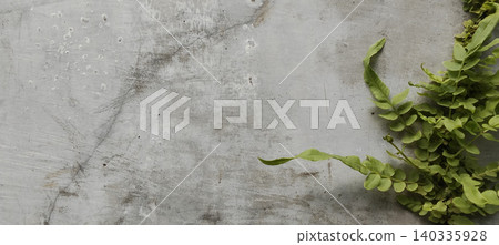 Green ferns grow between the cracked concrete walls. Green ferns grow between the cracked concrete walls. 140335928