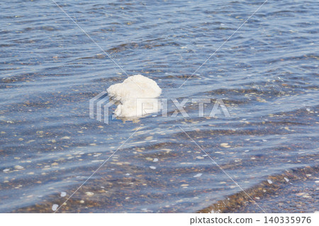 The sea foam on Notsuke Peninsula The sea foam on Notsuke Peninsula 140335976