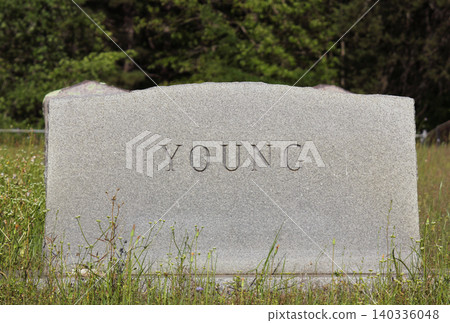 Headstone in Cemetery With Word Young. Death Concept 140336048