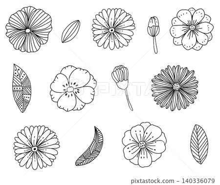 線條藝術花卉插畫 線條藝術花卉插畫 140336079