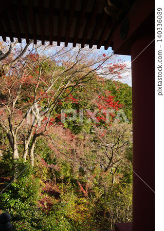 Autumn leaves of maple trees at a temple in Kamitakano, northern Kyoto. Autumn leaves of maple trees at a temple in Kamitakano, northern Kyoto. 140336089
