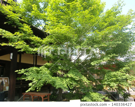 東福寺副寺少林寺 東福寺副寺少林寺 140336427