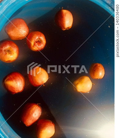 Top view of fresh red apples floating in water inside a blue barrel Top view of fresh red apples floating in water inside a blue barrel 140336480