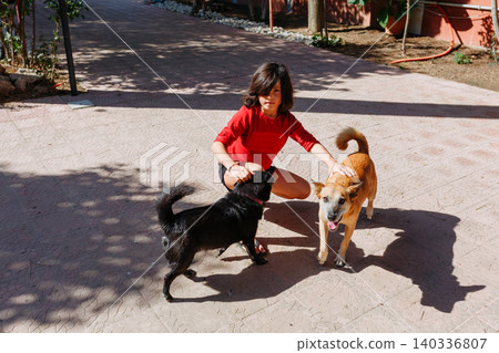 Young Girl Playing with Two Dogs Outdoors in Sunny Courtyard Young Girl Playing with Two Dogs Outdoors in Sunny Courtyard 140336807