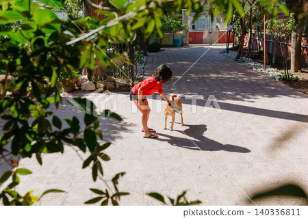 wide angle view of a standing child Playing with a Dog Outdoors in Sunny Courtyard 140336811