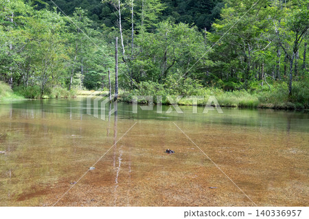 Mysterious pond Mysterious pond 140336957