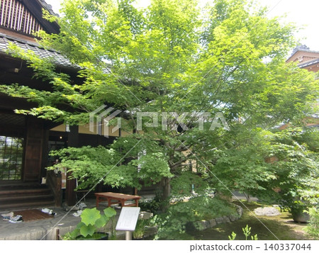 Tofukuji sub-temple Shorinji Tofukuji sub-temple Shorinji 140337044