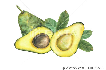 Avocado whole fruit, half with seed and green leaves. Hand draw watercolor illustration for healthy food. Botanical clipart of vegan vegetables for menu, packaging, recipe. Isolated from background 140337510