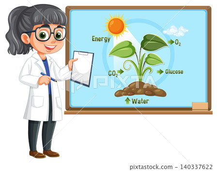 Female Scientist Explains Photosynthesis Diagram on Classroom Whiteboard Female Scientist Explains Photosynthesis Diagram on Classroom Whiteboard 140337622