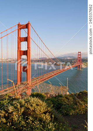 Golden Gate Bridge tower above coastal plants and San Francisco Bay Golden Gate Bridge tower above coastal plants and San Francisco Bay 140337662