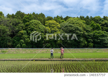 Farmers standing along the field path Farmers standing along the field path 140337737