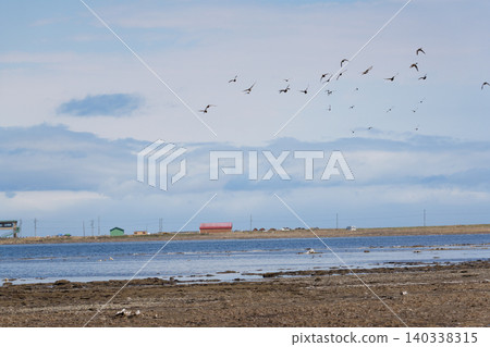 Spring scenery at the tip of the Notsuke Peninsula 140338315