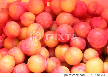 Apricot on shop for sell are cash crops Apricot on shop for sell are cash crops 140338361