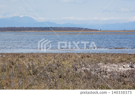 Spring scenery at the tip of the Notsuke Peninsula 140338373