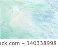 White dolphin holiday 140338998