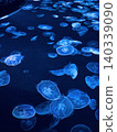 Jellyfish Holiday 01 140339090