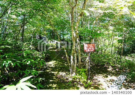 Scenery of Takino Suzuran Hillside National Park Scenery of Takino Suzuran Hillside National Park 140340100