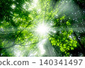 Light pouring down on the lush green forest Light pouring down on the lush green forest 140341497