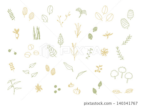 A set of natural, hand-drawn illustrations of plants such as leaves and berries (yellow and green). A set of natural, hand-drawn illustrations of plants such as leaves and berries (yellow and green). 140341767