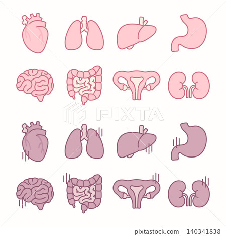 Human internal organs vector icon set including healthy and unhealthy condition for medical design Human internal organs vector icon set including healthy and unhealthy condition for medical design 140341838