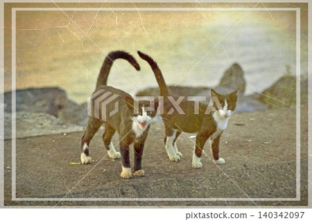 Independent cats of Istanbul roaming freely through the city s streets. Independent cats of Istanbul roaming freely through the city s streets. 140342097