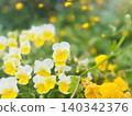Spring park, overflowing with blooming yellow flowers 140342376