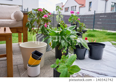 Potted plants ready for repotting on terrace 140342742