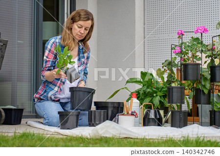 Woman repotting plant on terrace 140342746