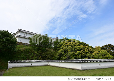The spacious lawn and castle of Tomioka Castle Park The spacious lawn and castle of Tomioka Castle Park 140342773