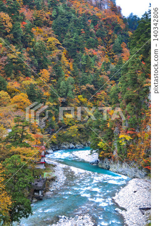 Kurobe Gorge, ablaze with autumn colors Kurobe Gorge, ablaze with autumn colors 140342806