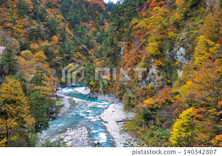 A clear stream flowing through the autumn leaves A clear stream flowing through the autumn leaves 140342807