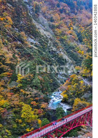 紅色的奧金橋橫跨山谷，掩映在秋葉之中。 140342808