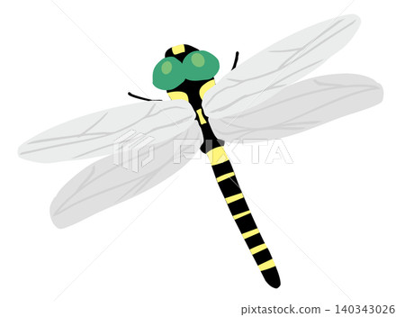 Strong dragonfly (No outline) Strong dragonfly (No outline) 140343026