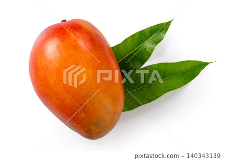 芒果 新鮮 水果 台灣 Fresh mango fruit マンゴ 140343139
