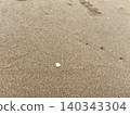 海灘上遺留的白色貝殼 140343304