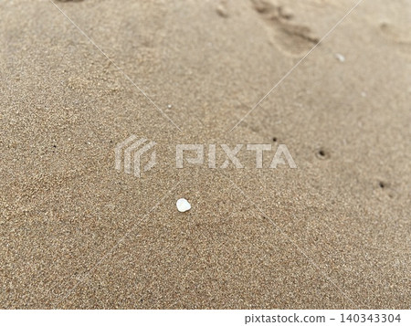 海灘上遺留的白色貝殼 海灘上遺留的白色貝殼 140343304