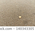 貝殼在沙灘上推出 140343305